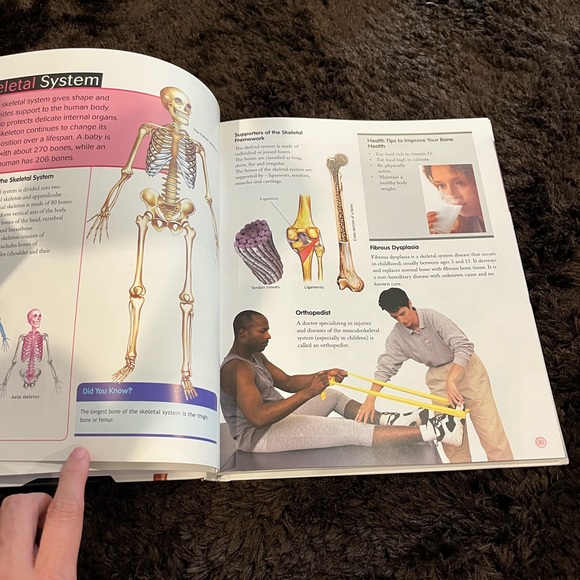 New : kids book - Human body (3 for $20) - Picture 4 of 5